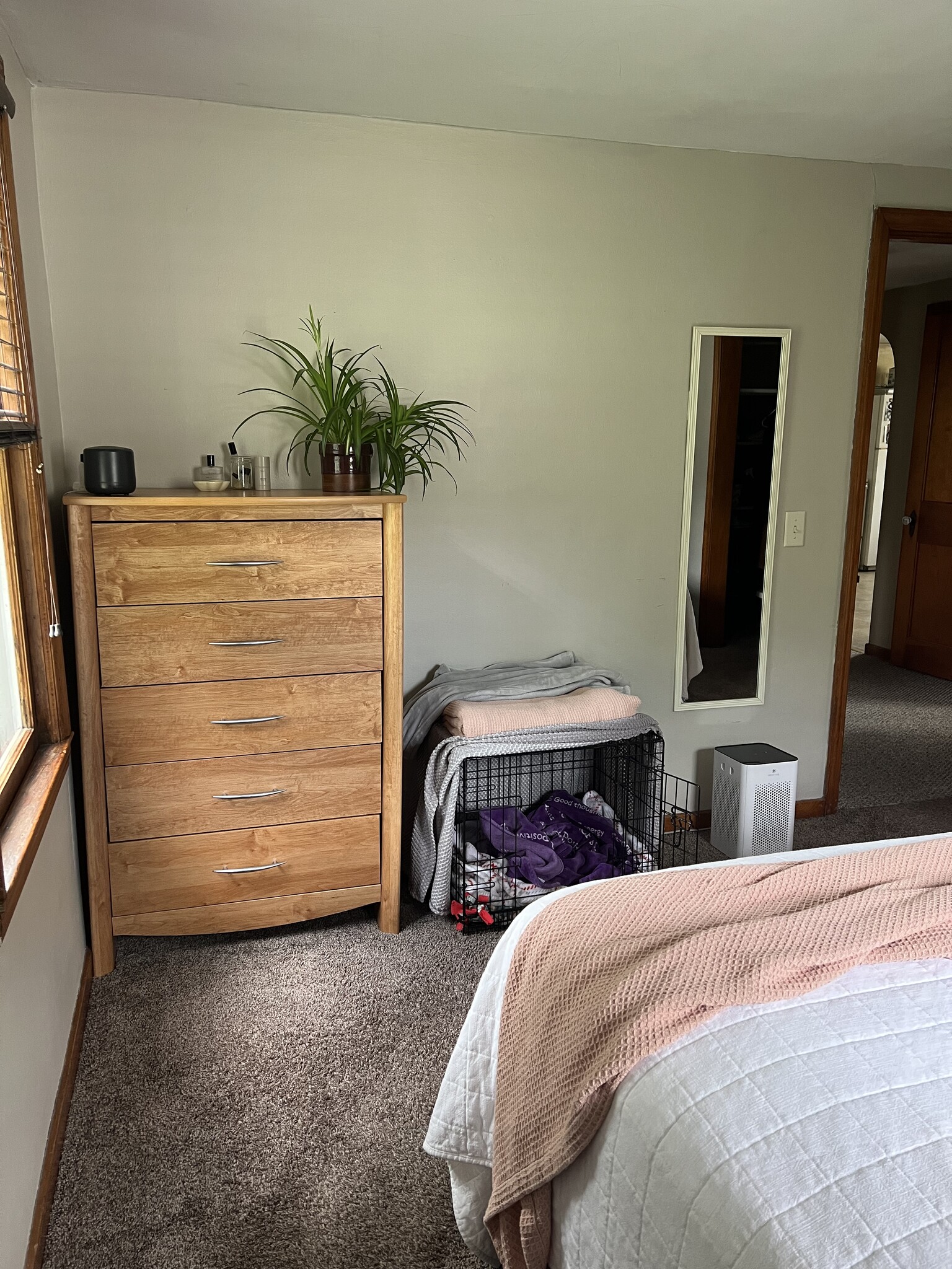 Primary Bedroom - 1004 Desnoyer St