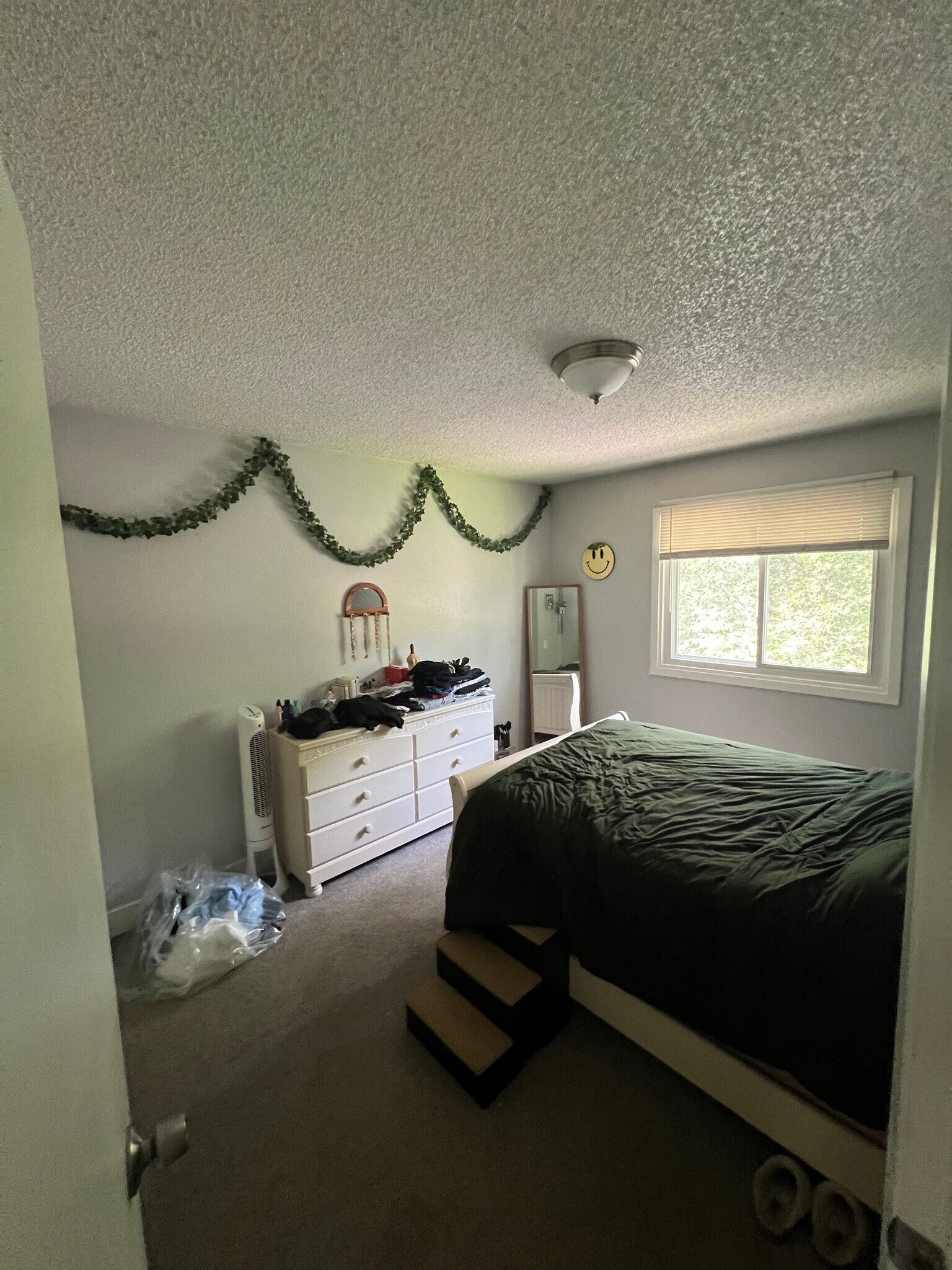 2nd bedroom on main level - 6228 Magnolia Ln N