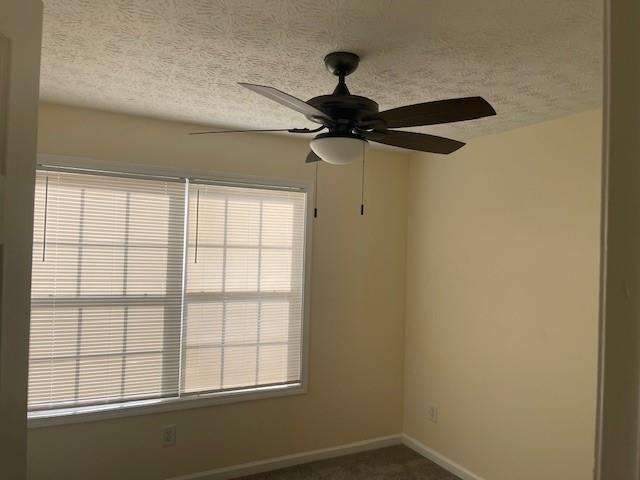Building Photo - 4022 Canebrake Ln