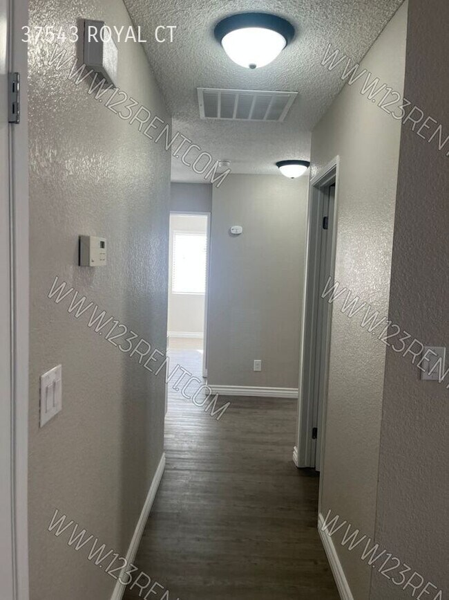 Building Photo - 37543 Royal Ct