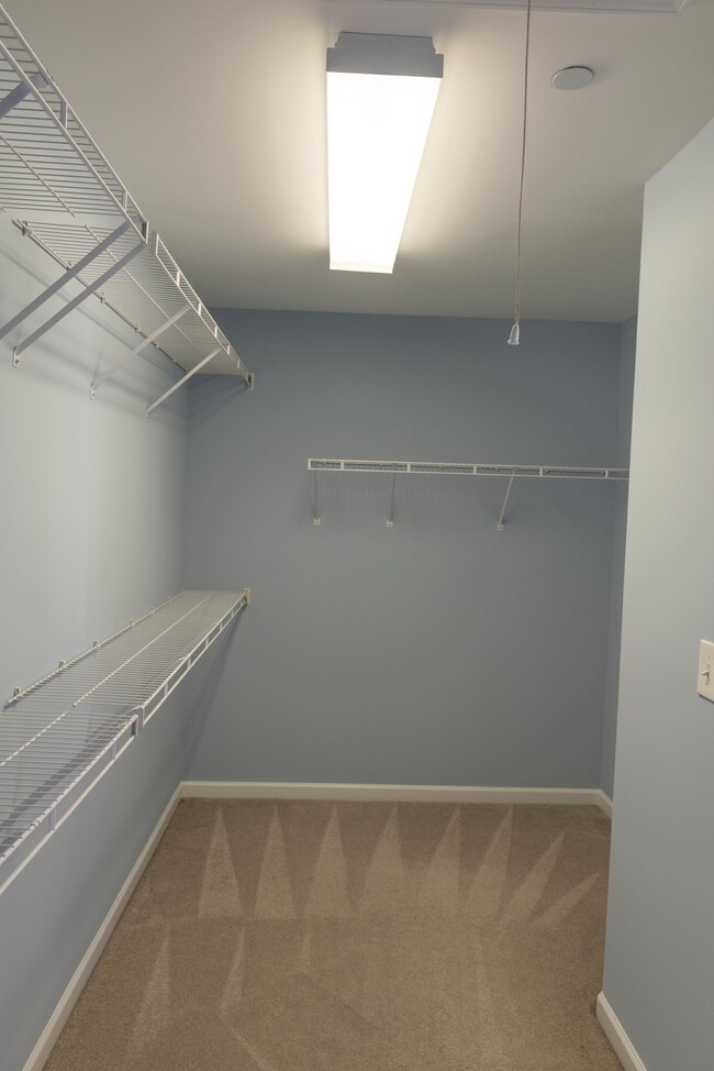 Master walk in Closet - 1929 Ashburn Ct