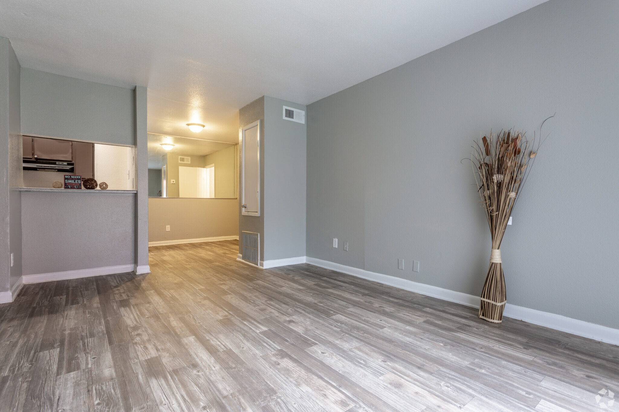 1 Br, Living Space - Ashford Santa Cruz