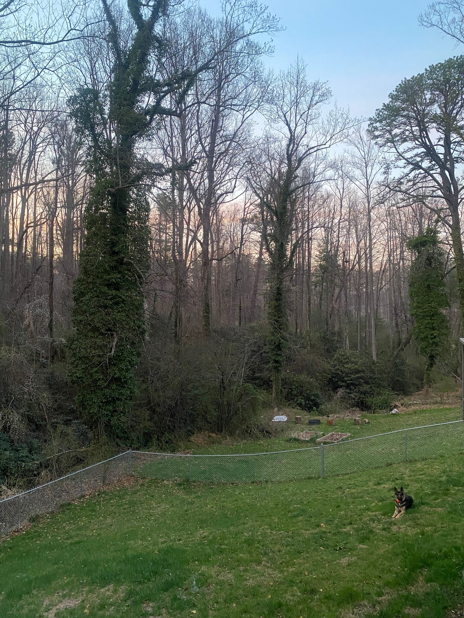 Building Photo - 711 Oak Terrace Ln