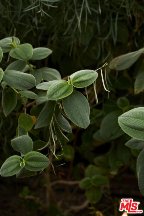 Building Photo - 5918 Monte Vista St