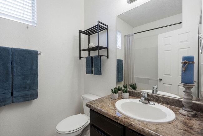 Building Photo - 1143 Desert Sunflower Dr NE