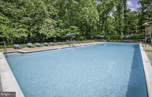 Building Photo - 1101 Primrose Ct