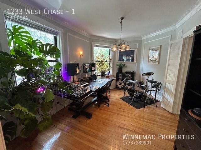 Building Photo - 1233 West Chase