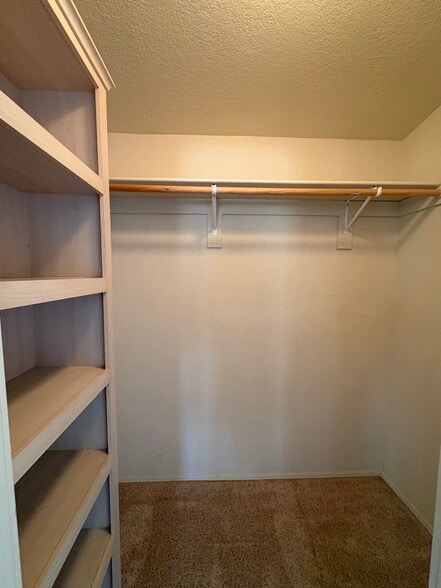 Building Photo - 1504 Mario Dr