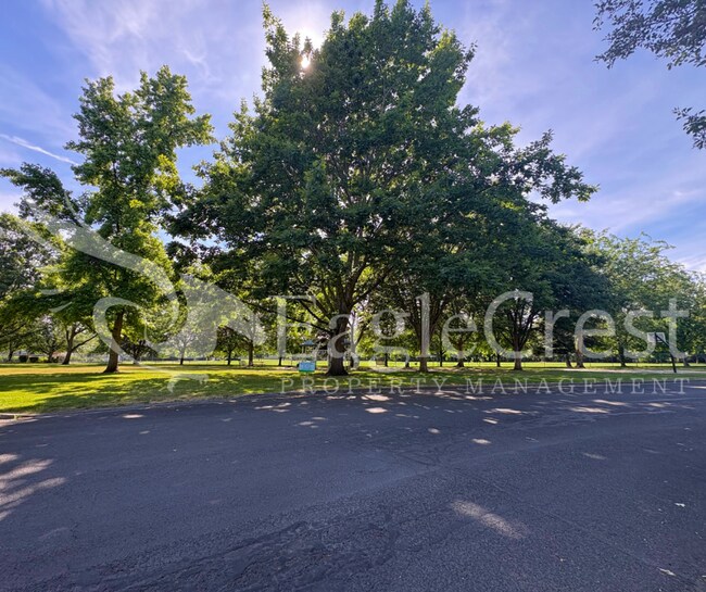 Building Photo - Brand-New Studio Apartment with Blue Mountain Views – Utilities Included!