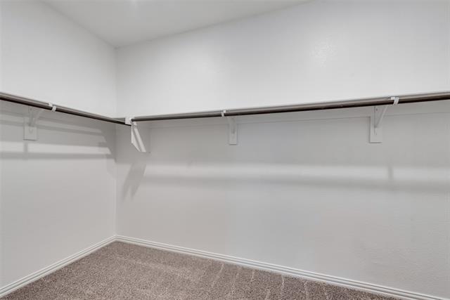 Building Photo - 1508 Mineral Pt Pl