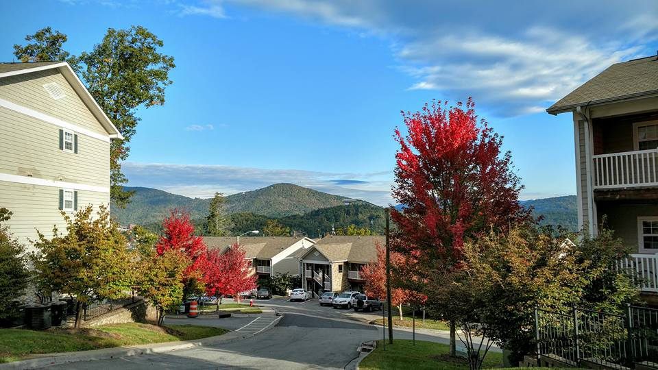 Primary Photo - The Village of Meadowview