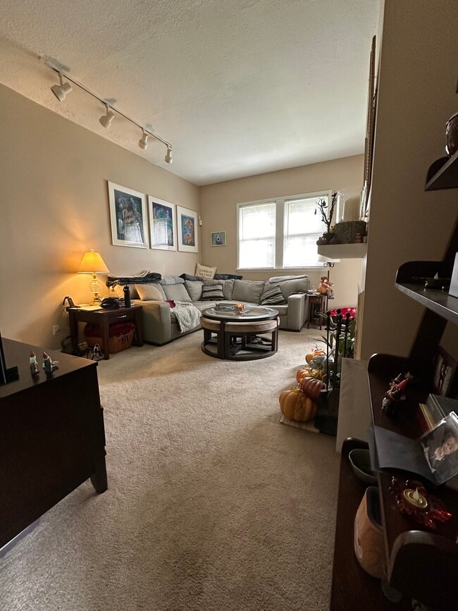 living room - 560 S 3rd St