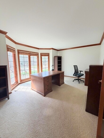 Building Photo - 43532 Scenic Ln