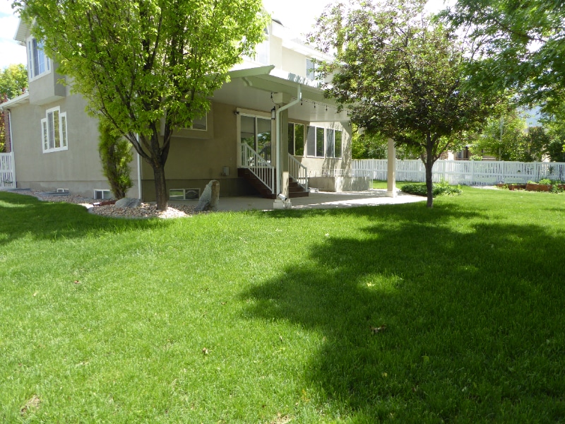 Building Photo - 388 Draper Downs Dr