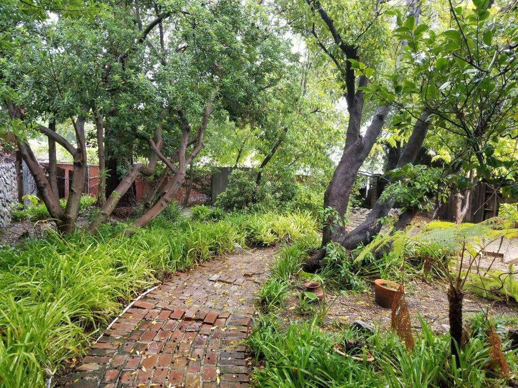 Back yard - 4822 Grand Ave