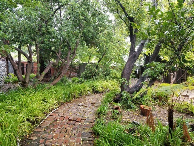 Back yard - 4822 Grand Ave