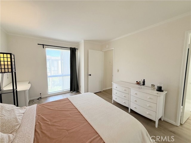 Building Photo - 806 Coriander Dr