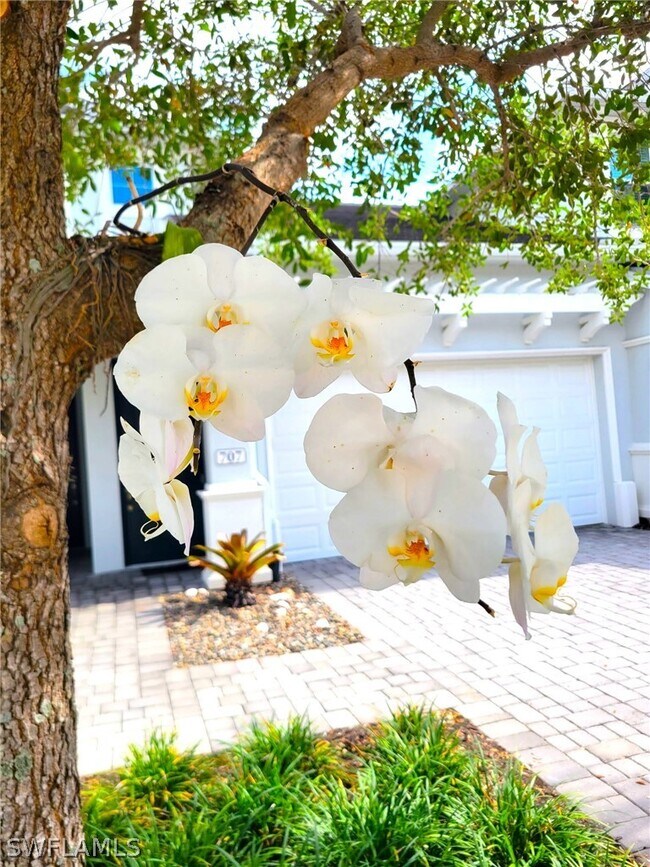 Building Photo - 6954 Avalon Cir