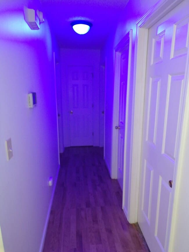 Building Photo - Nice 3 Bedroom 2 Bathroom House In South C...
