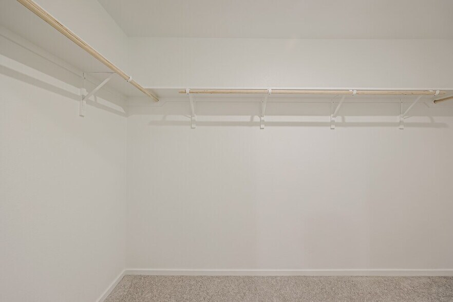 Building Photo - 2613 Shady Cedar Ct