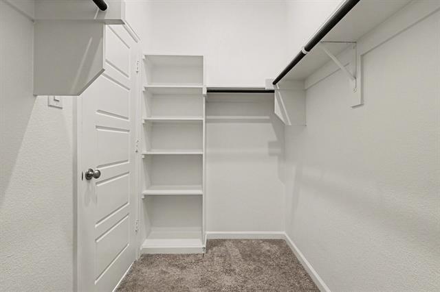 Building Photo - 3121 Winecup Wy