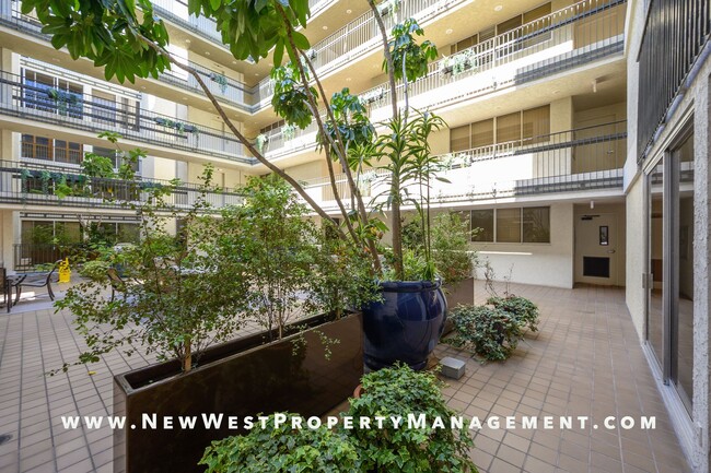 Building Photo - Expansive La Jolla Village 2 Bedroom at De...