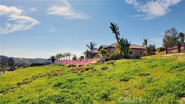 Building Photo - 31418 Cll De Talar