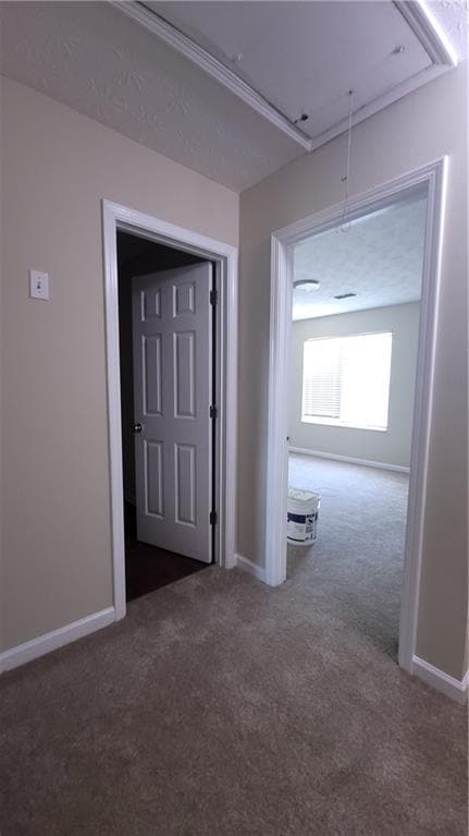 Building Photo - 8313 Max Ct