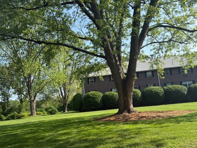 Building Photo - Bright & Modern 1 Bedroom Condo in quiet, ...