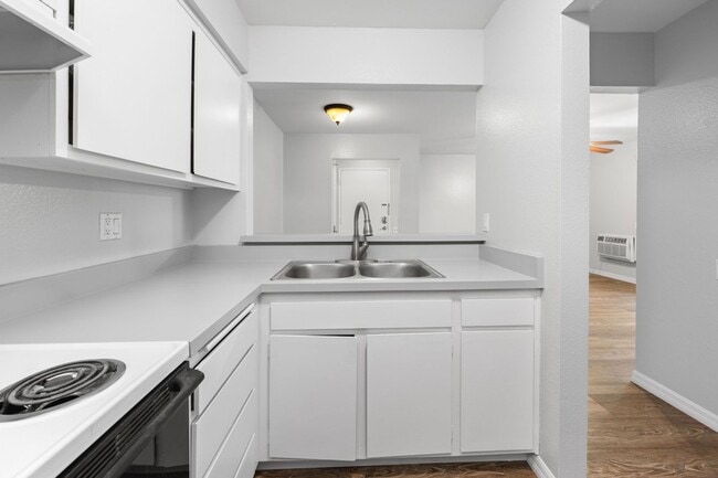 Building Photo - 1341 Caminito Gabaldon