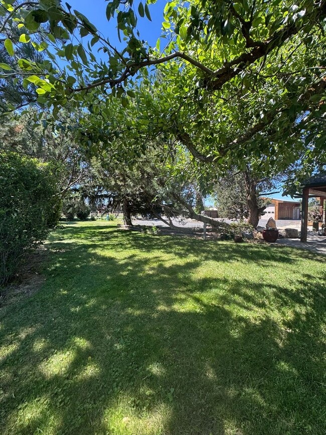 Building Photo - Idyllic 3bd, 2ba Retreat with Loft on 2+ A...