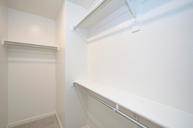 Building Photo - 63 N Veranda Ct