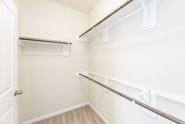 Building Photo - 24922 Scarlatti Cantata Dr