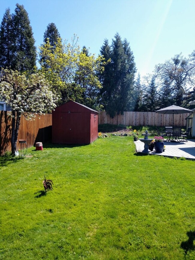 Building Photo - Unfurnished Light-Filled, Beautifully Updated 3-Bedroom Home in Jacksonville