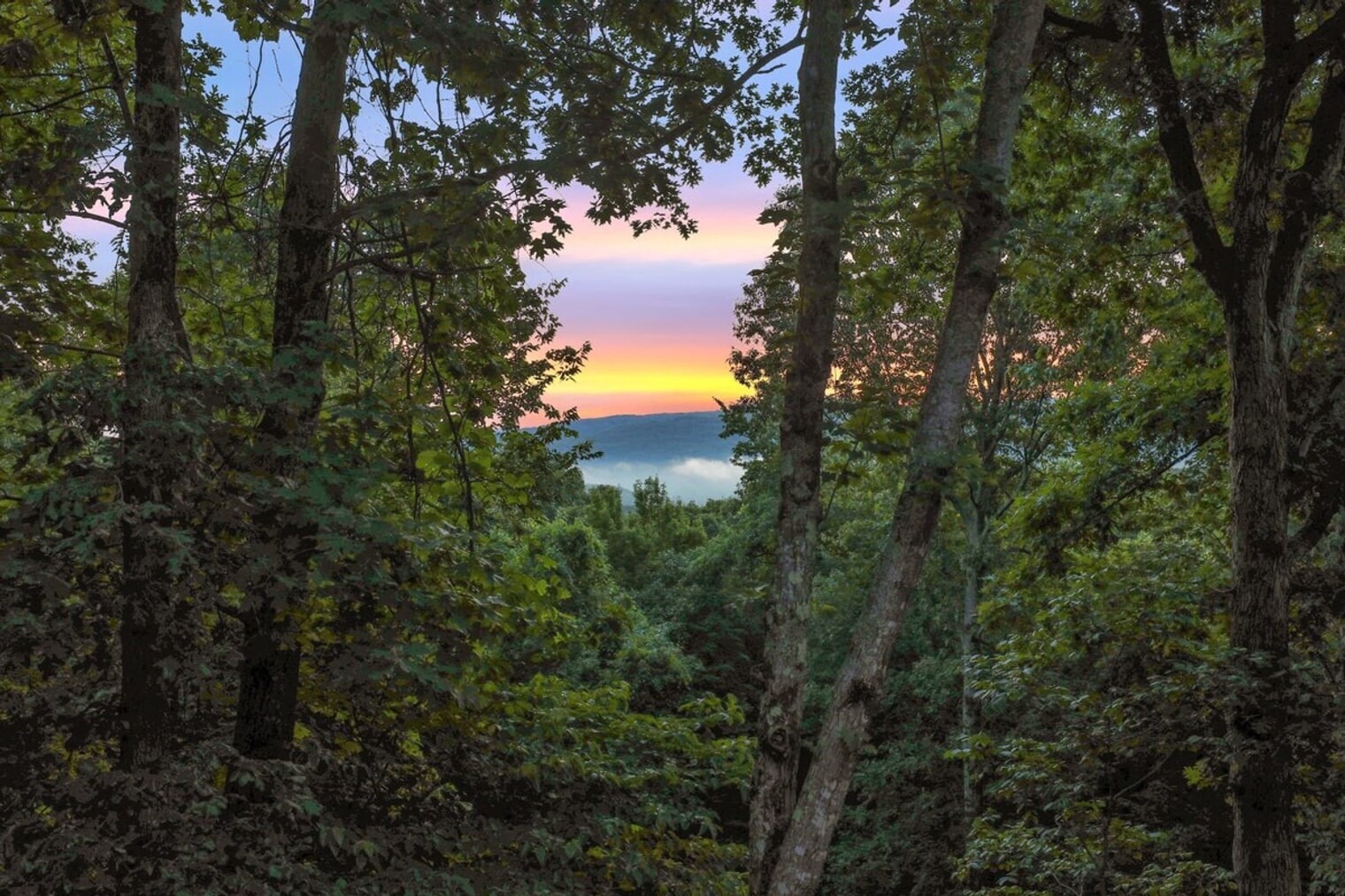 Building Photo - 10512 Wooton Rd