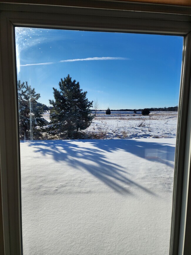 View of Backyard - 1071 36th St W