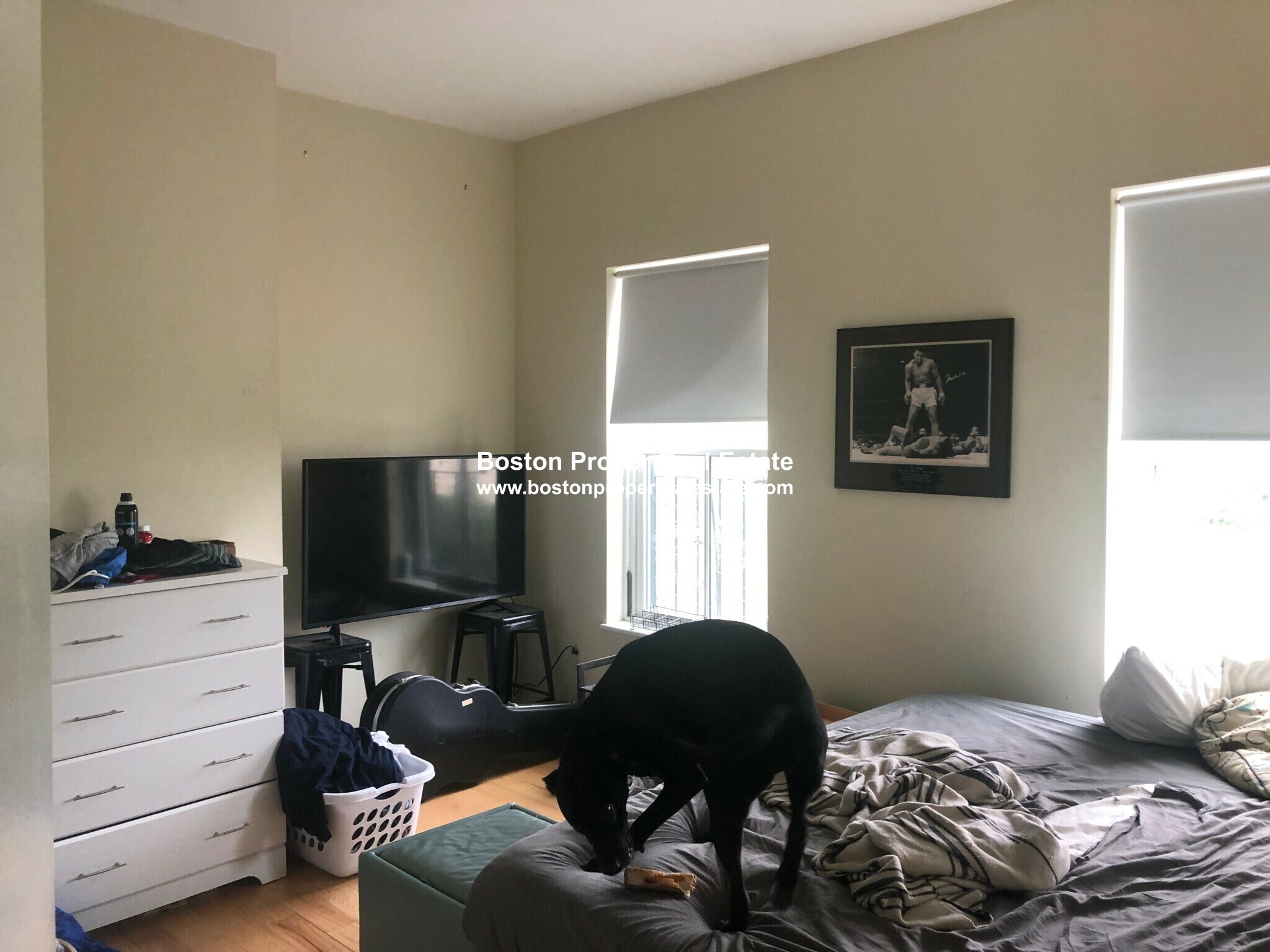 Building Photo - 415 Massachusetts Ave