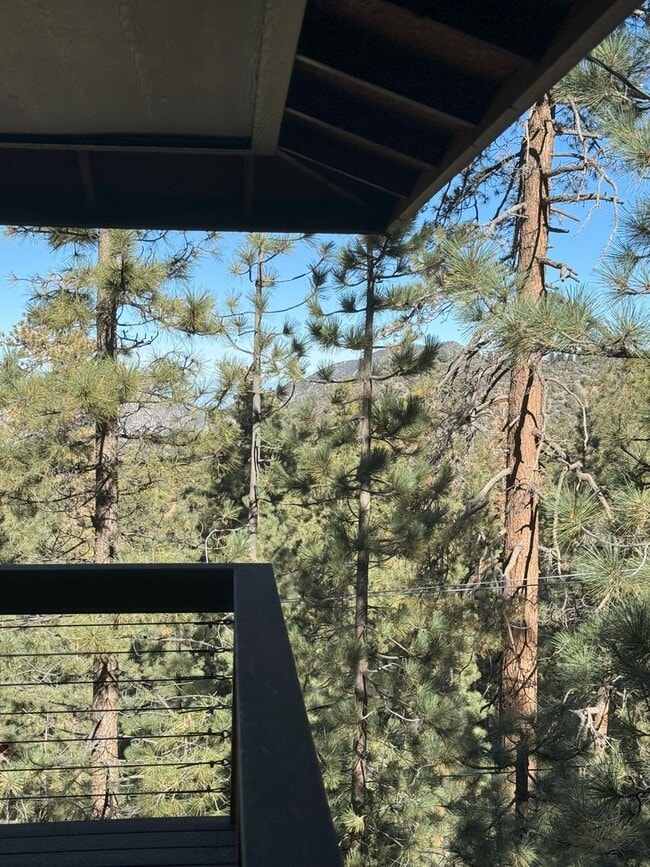 Building Photo - Unique Mountain Home!