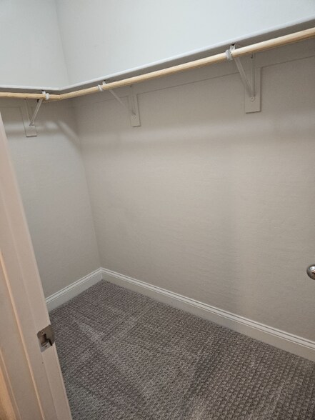Building Photo - 300 Cadence View Way
