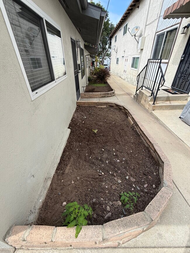 Grow Flowers and Veggies - 140 Virginia St