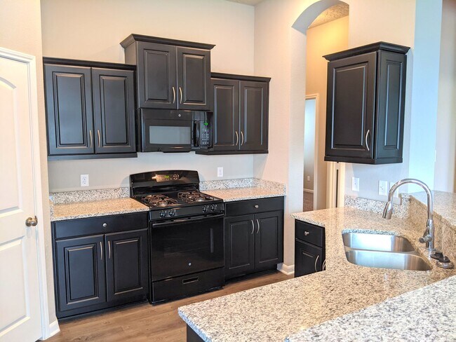 Building Photo - Available for Immediate Move-in! Wonderful Single Family Home in Siena!