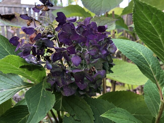 Building Photo - 322 Spring St