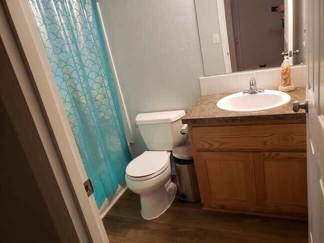 Hall bathroom - 1040 Columbia Ridge Dr