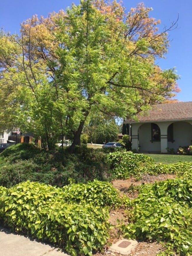 Building Photo - Single Family Home 3 Bedroom 2 Bath Corner...