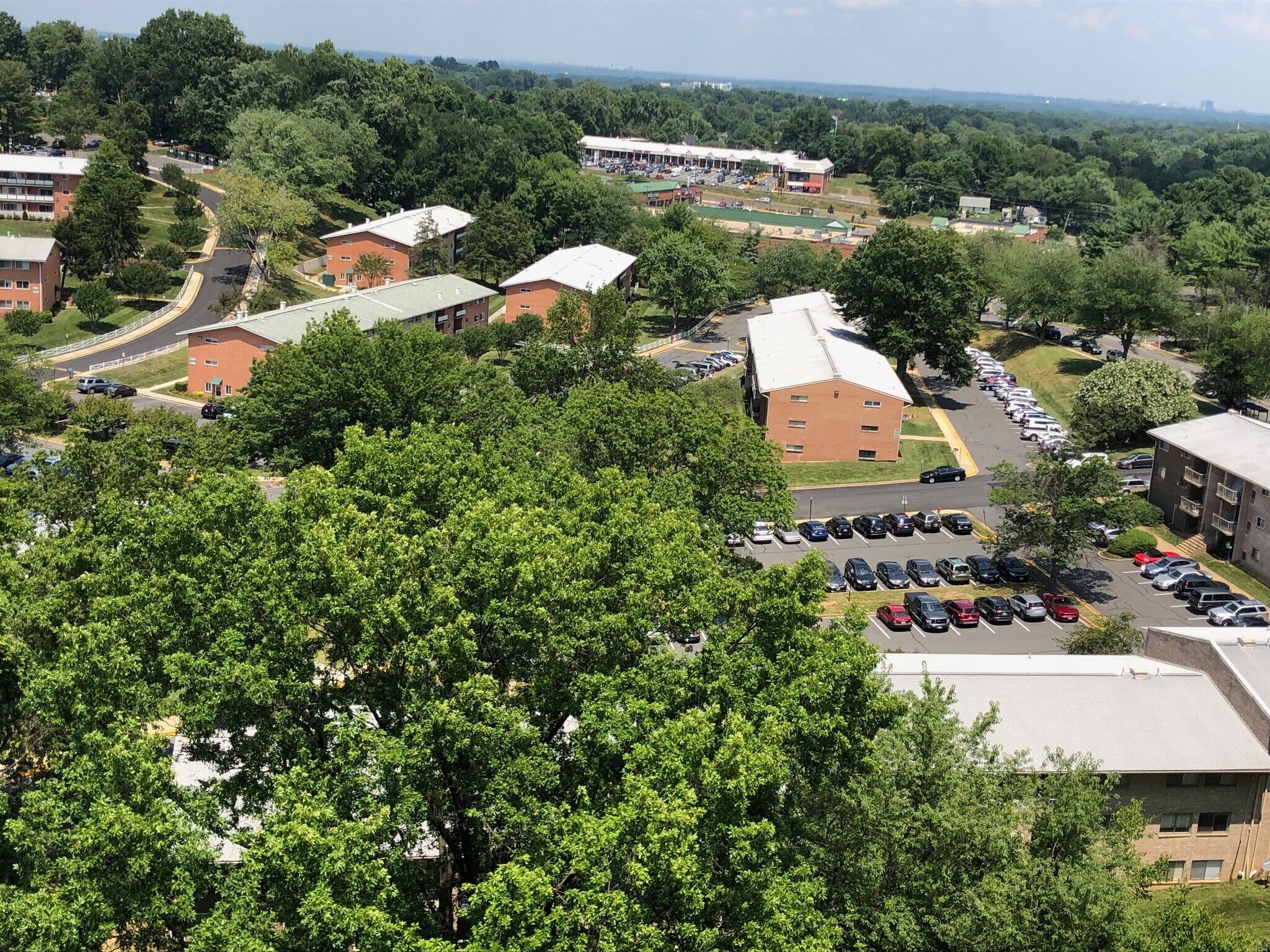 View to north - 2300 Pimmit Dr