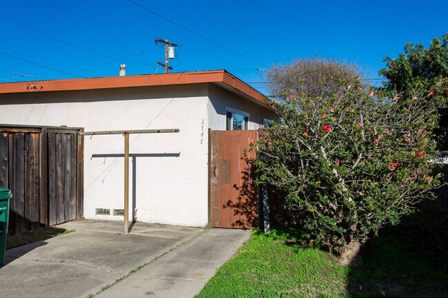 Building Photo - Cherokee