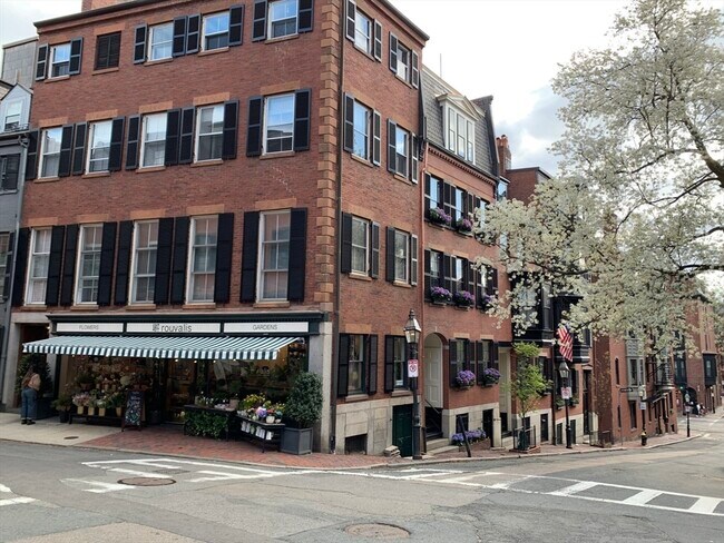 Building Photo - 105 Pinckney St