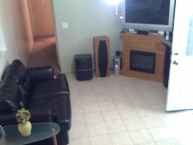 Lower Level Family Room - 14 Roosevelt Ave