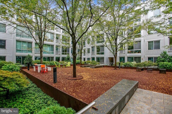 Building Photo - Luxury Living at Cityline at Tenley