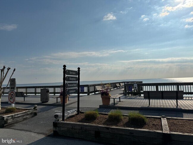 Building Photo - 8315 Bayside Rd